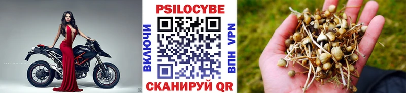 Купить  Урюпинск  Галлюциногенные грибы Magic Shrooms 